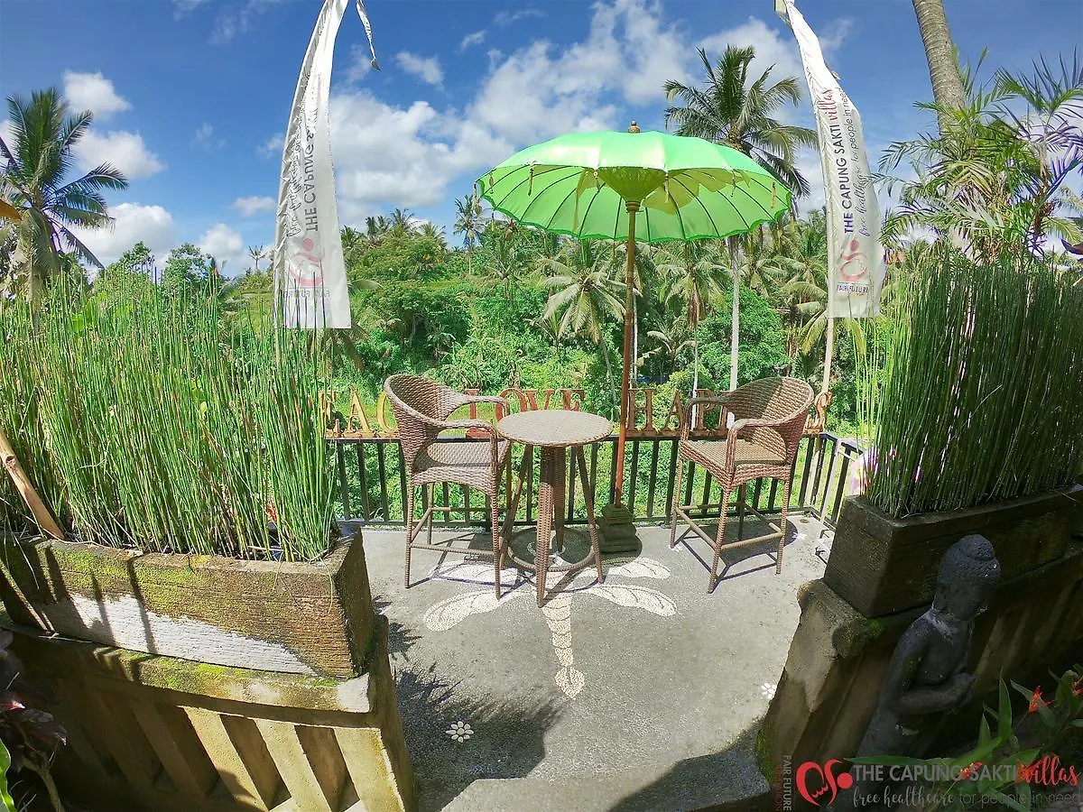 **** Station touristique Capung Sakti Villas Ubud Indonésie
