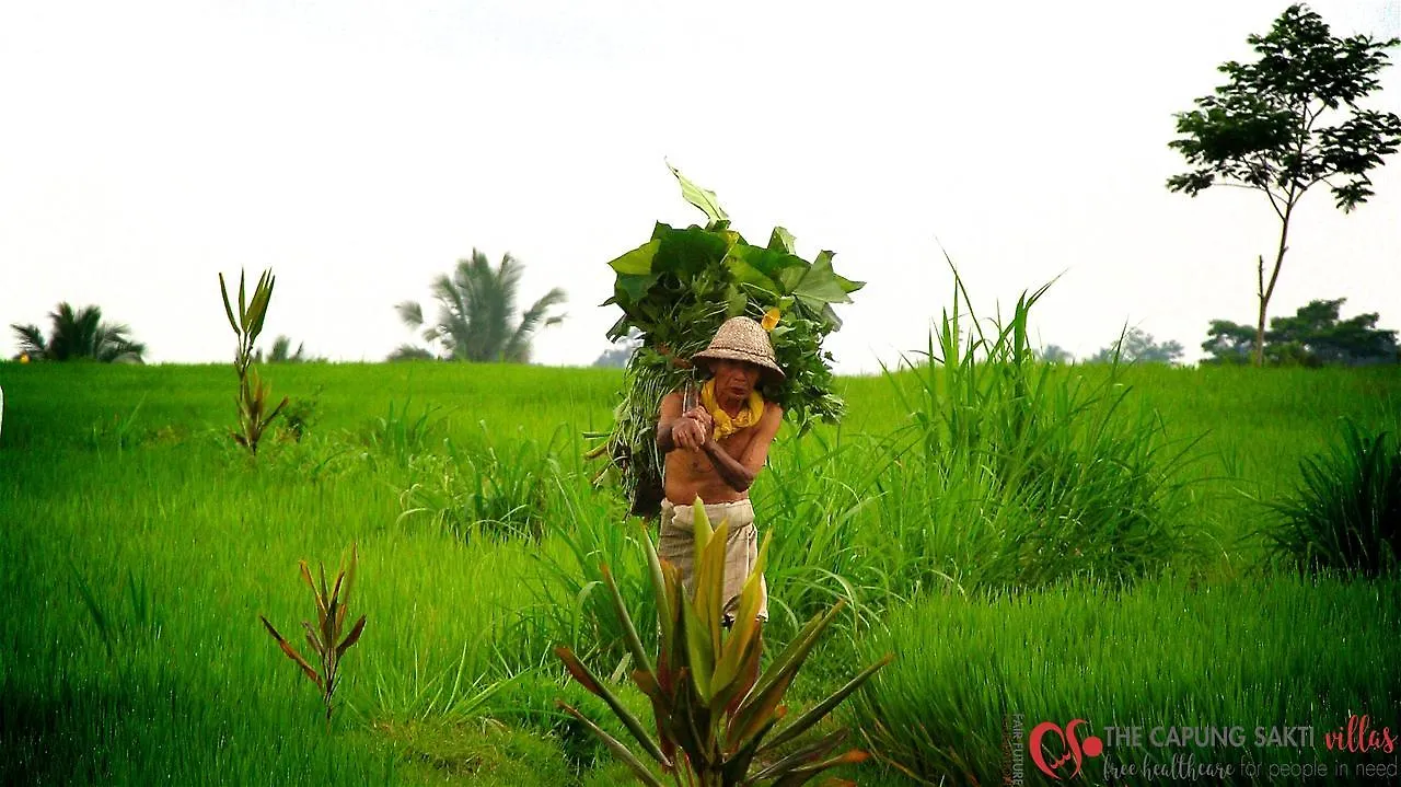 Capung Sakti Villas Ubud 4*,
