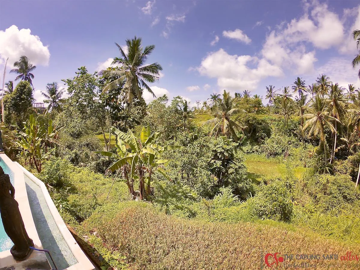 Resort Capung Sakti Villas Ubud