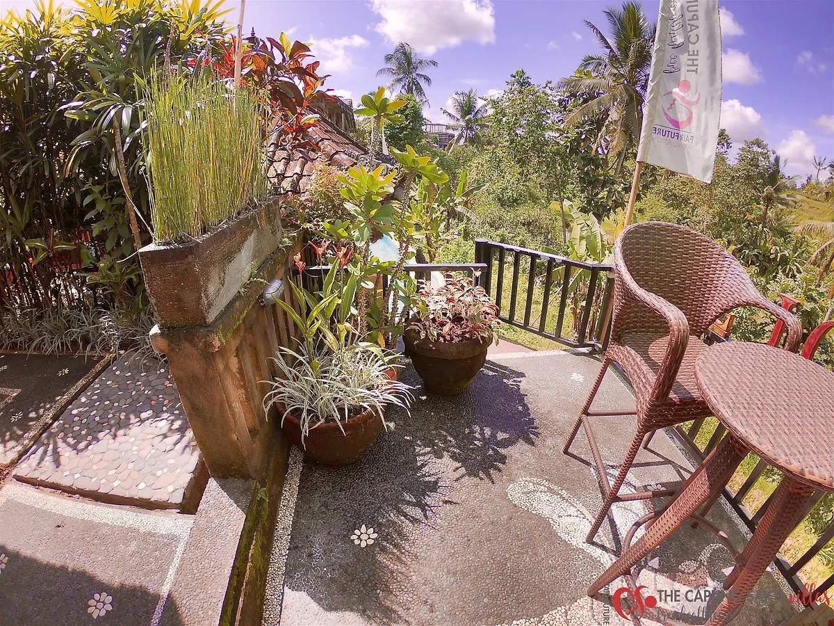 Capung Sakti Villas Ubud  Resort Ubud (Bali)