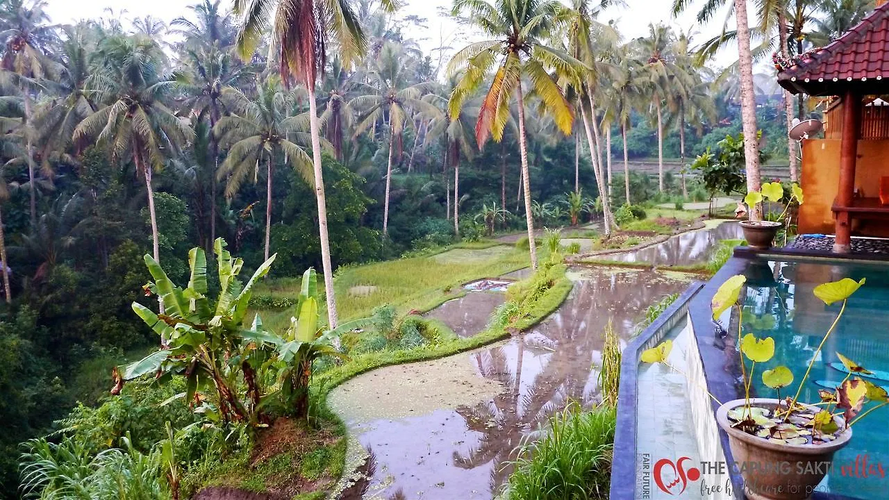 Capung Sakti Villas Ubud  4*, Ubud (Bali) Indonesia