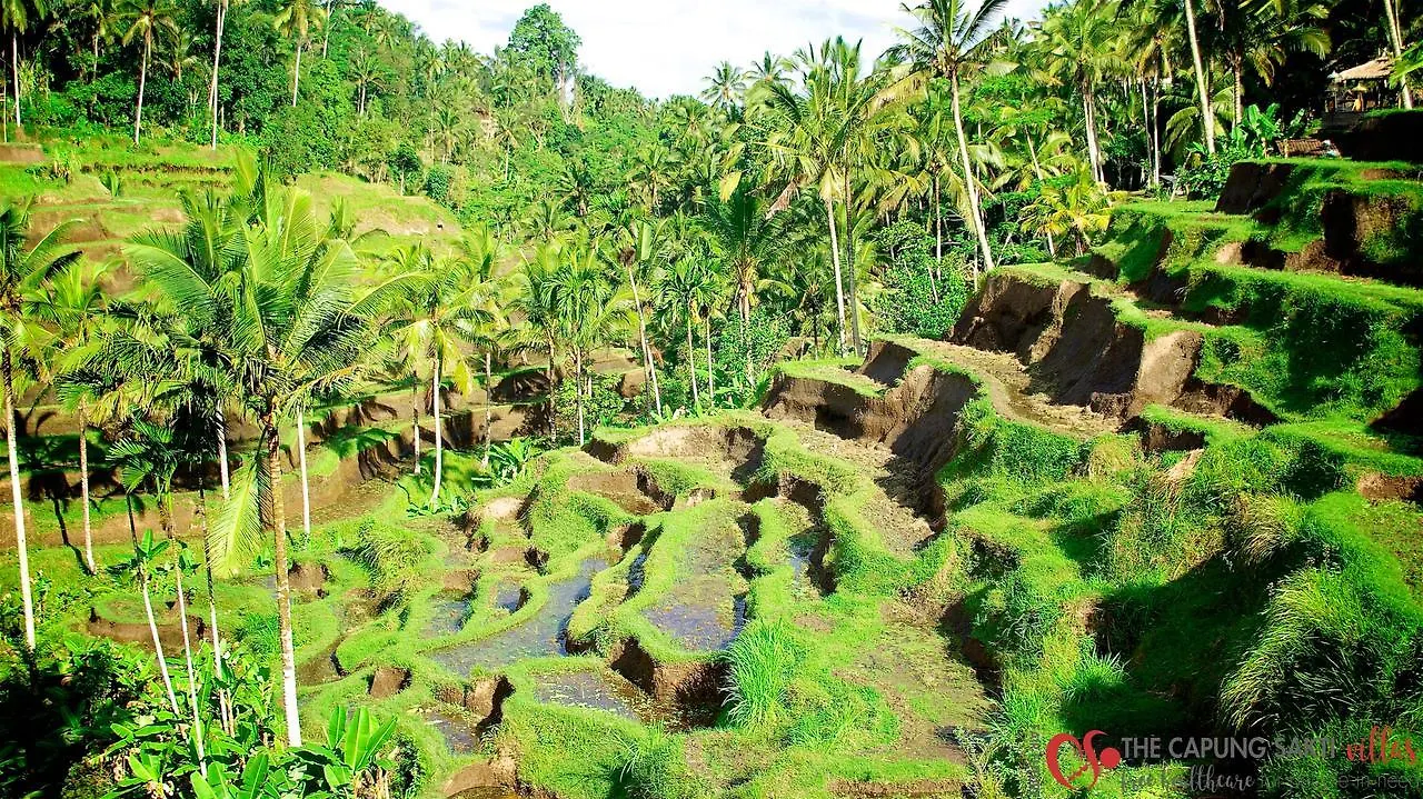 Capung Sakti Villas Ubud