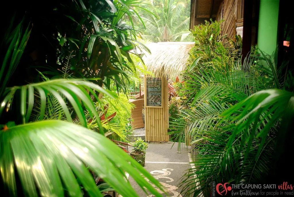 Capung Sakti Villas 우붓