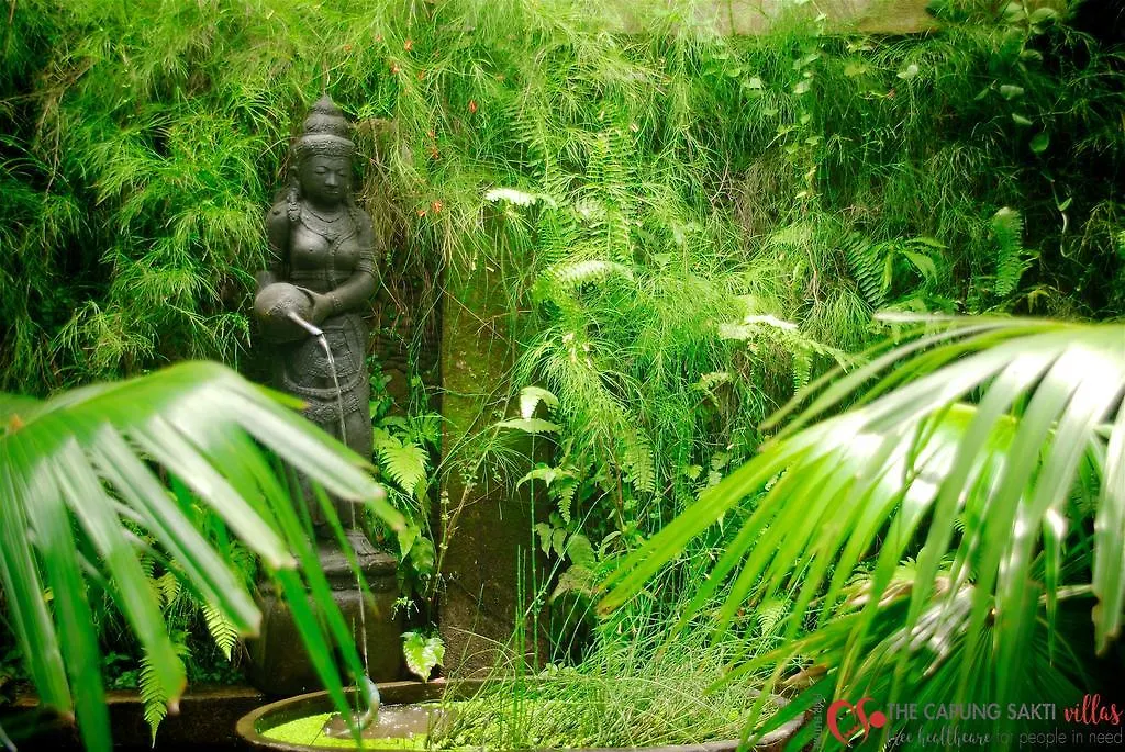 리조트 Capung Sakti Villas 우붓
