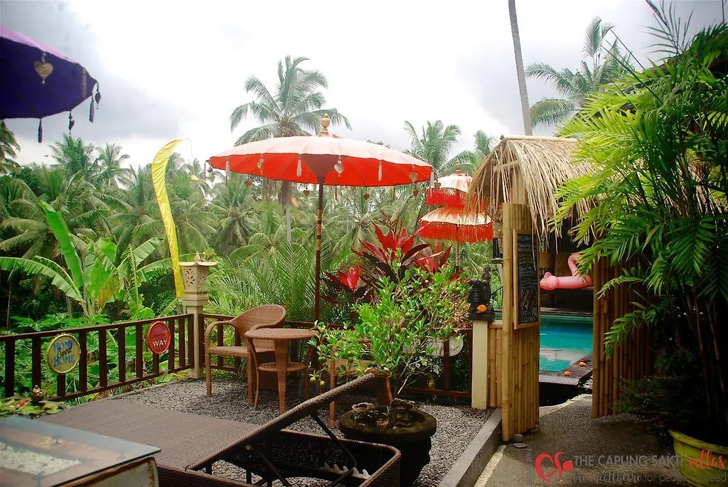 Capung Sakti Villas 우붓 리조트
