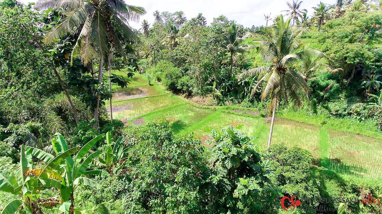 Capung Sakti Villas 우붓 4*,