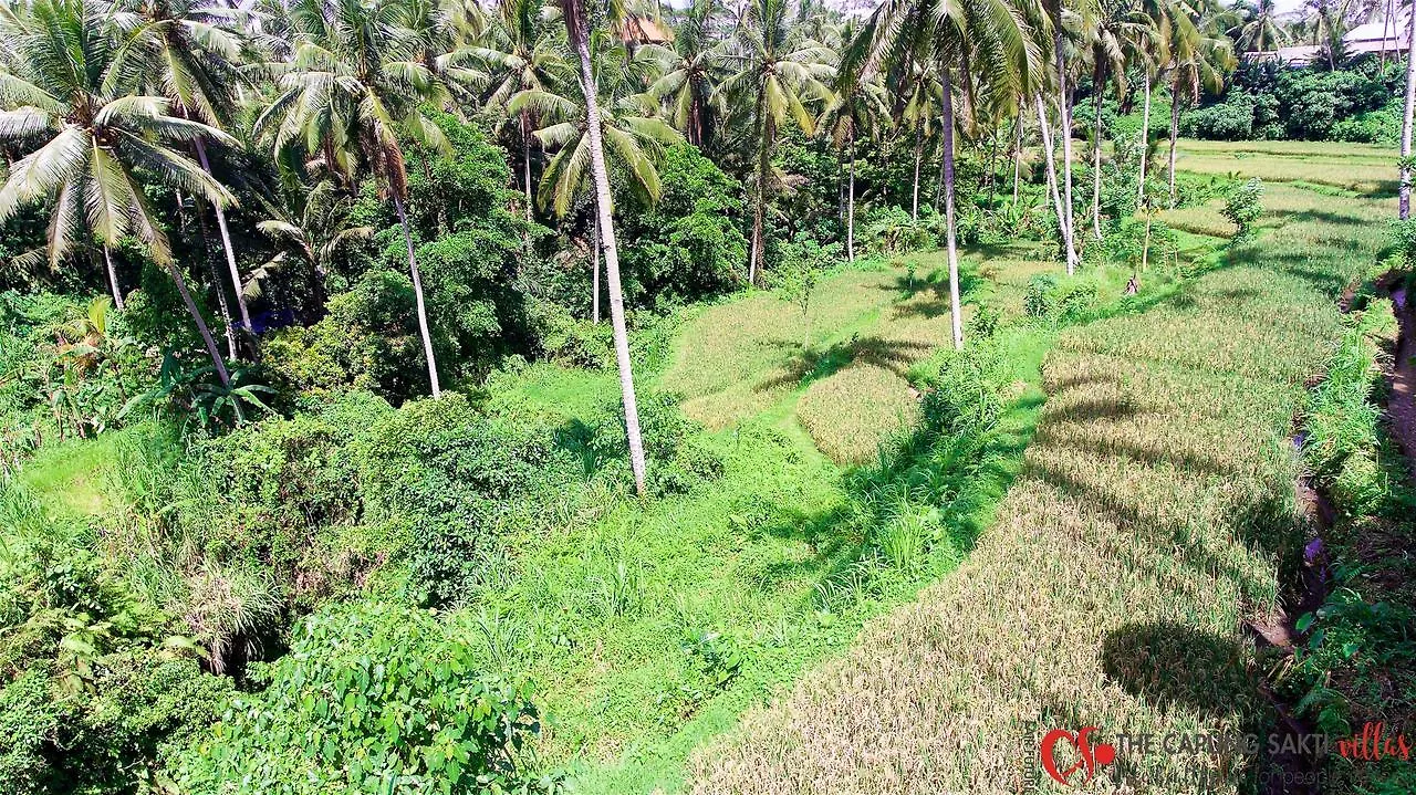 Capung Sakti Villas 우붓 리조트